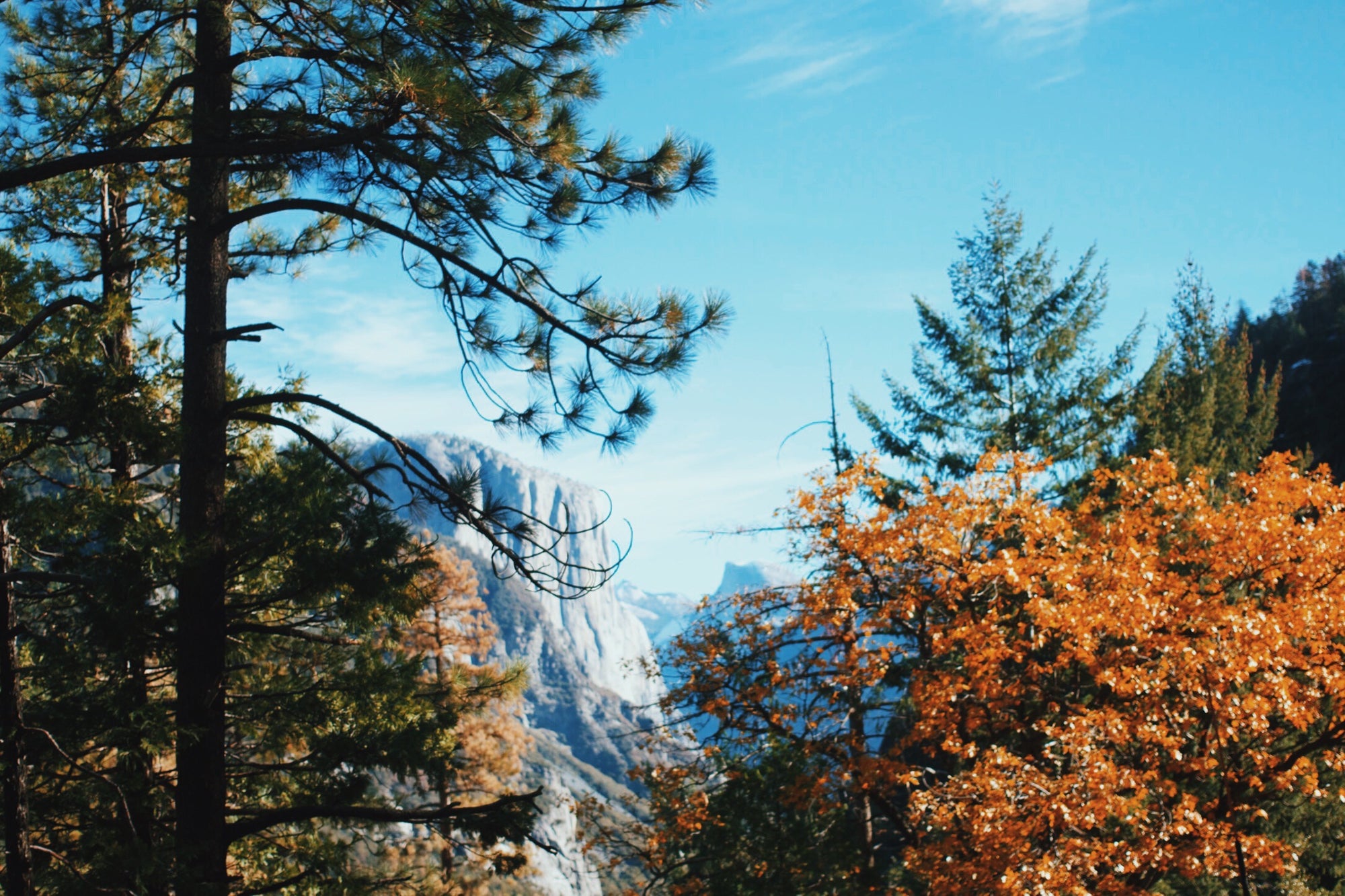 see the dome half full