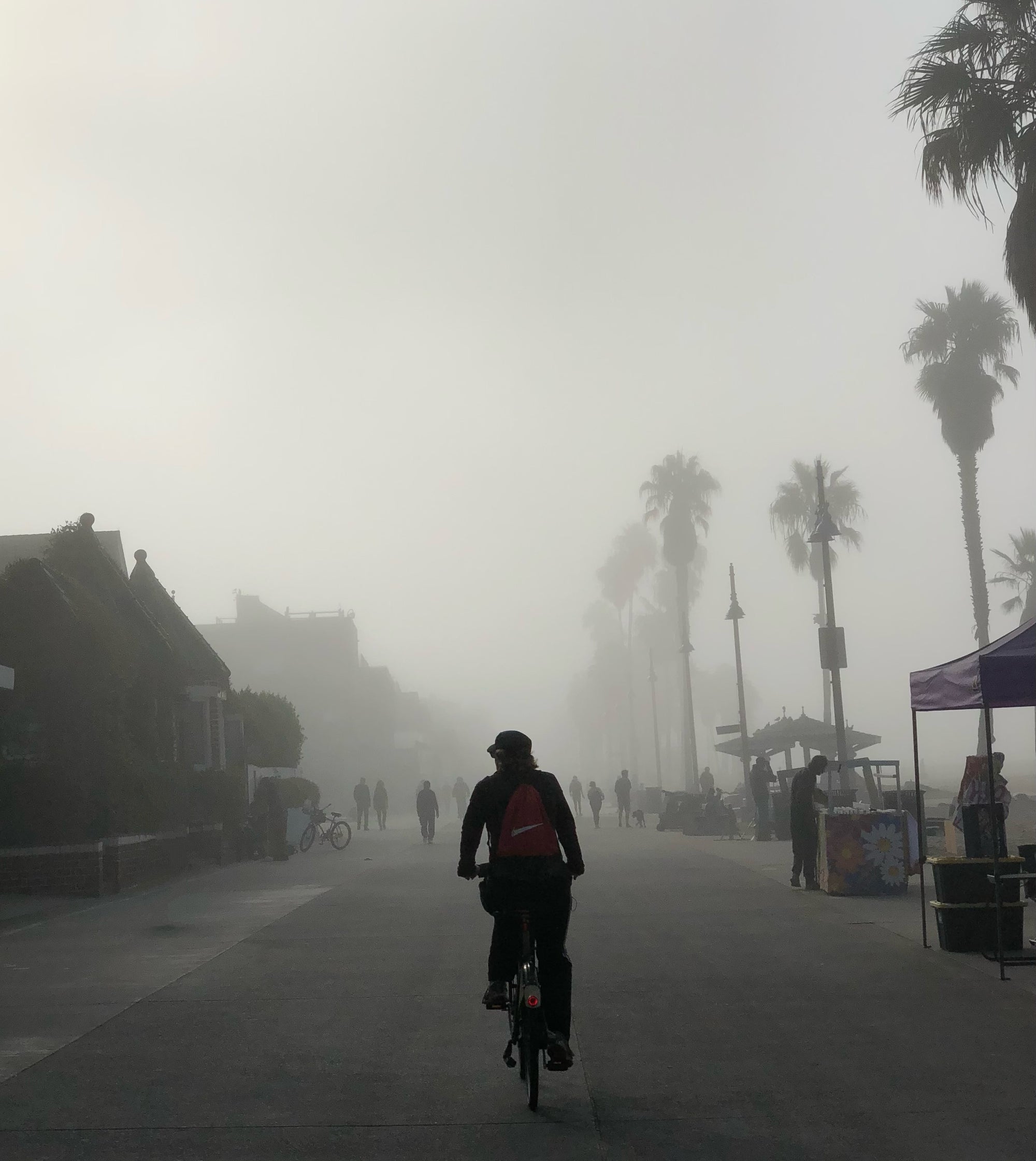 dogtown or fogtown?