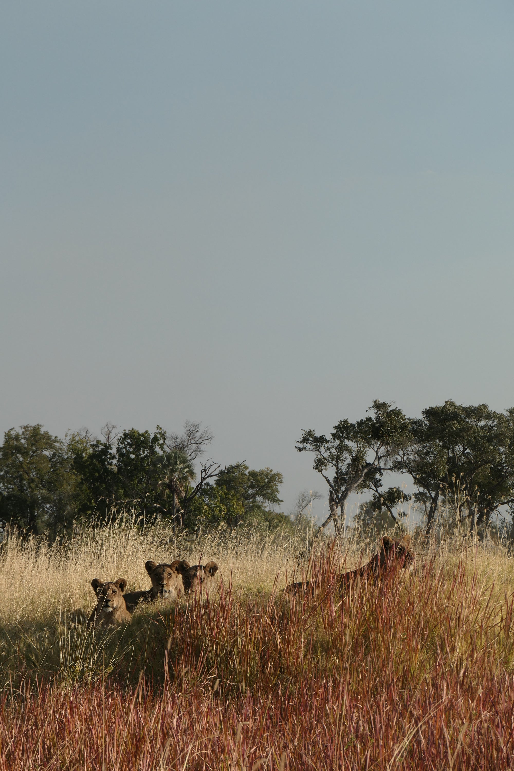 when every month is pride month