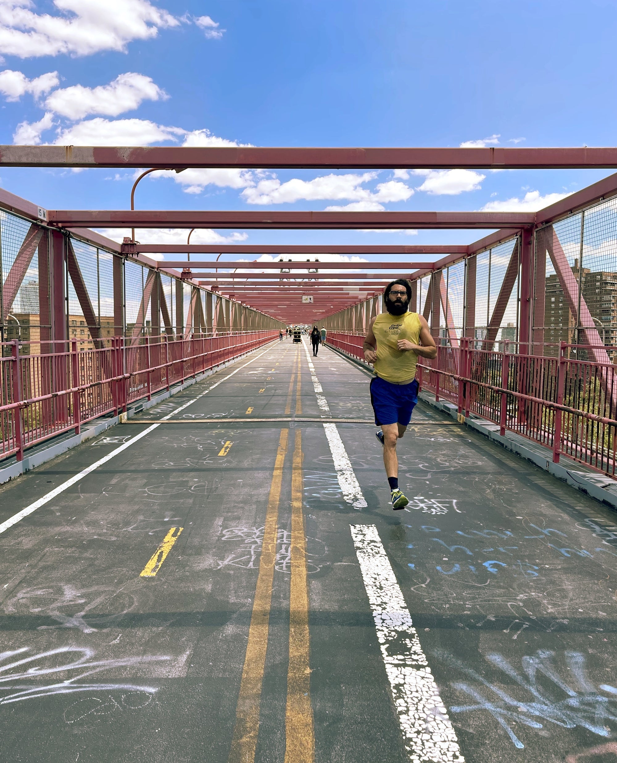 williamsburg bridge #2